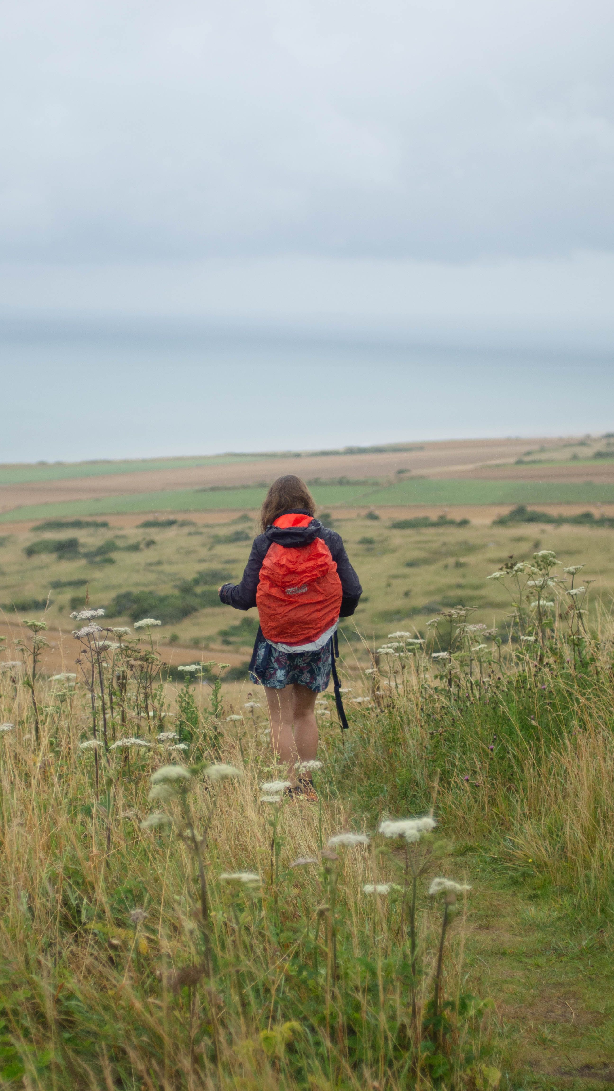 A backpacker with a red pack walks along a scenic coastal trail surrounded by wildflowers.