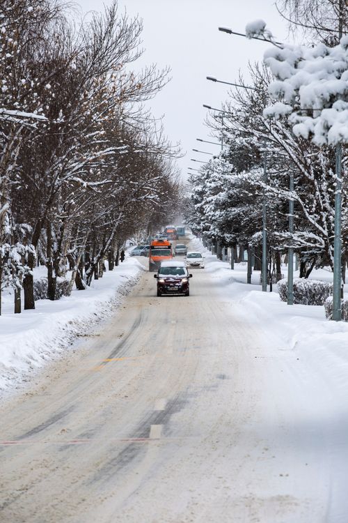 Free A serene winter landscape with snow-covered trees lining a road in Erzurum, Türkiye. Stock Photo