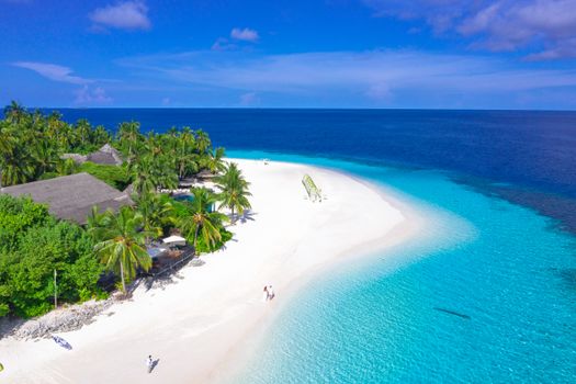 Aerial view of a tropical beach with palm trees and turquoise waters, perfect for travel and vacation ideas.
