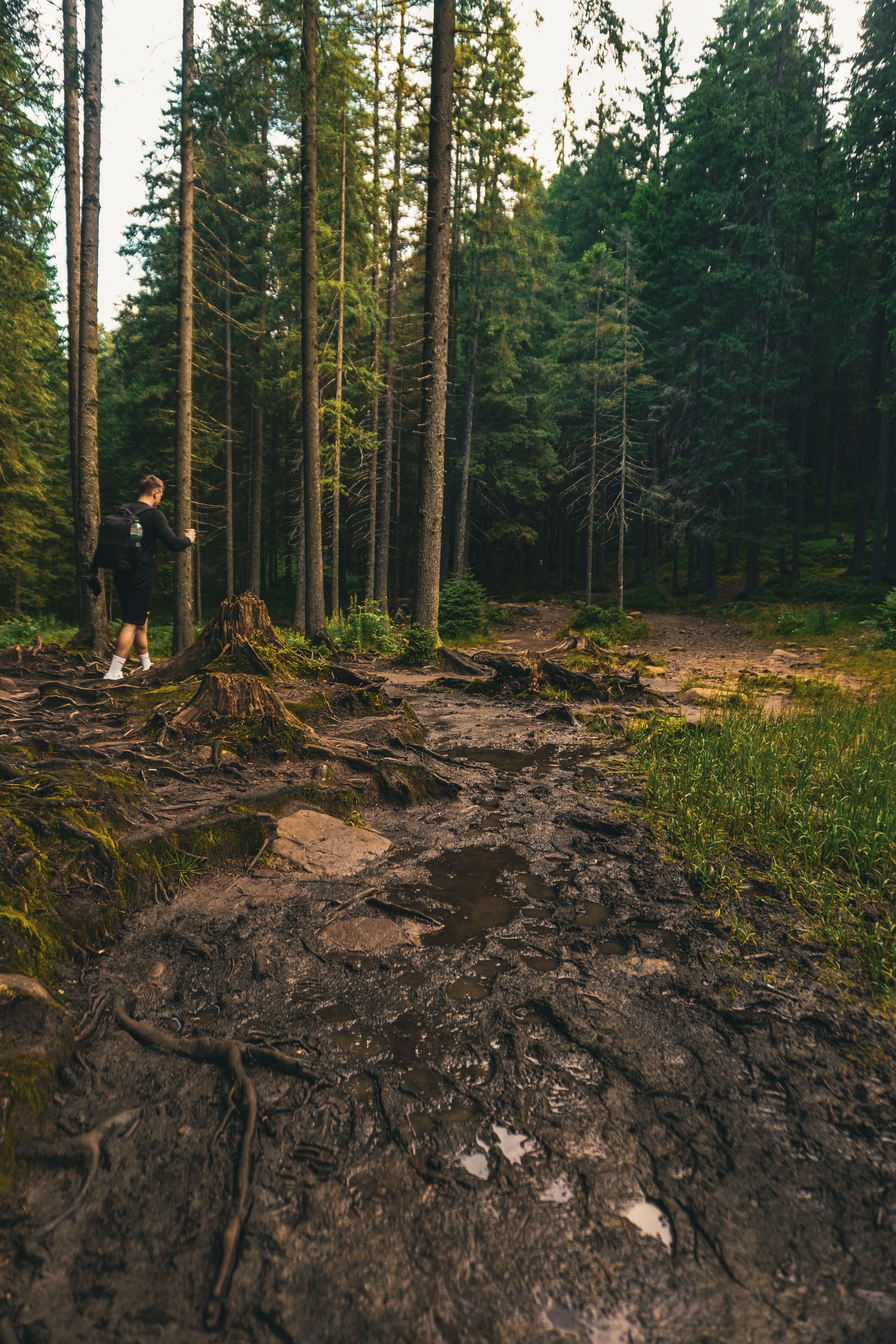 Man Hiking Through a Muddy Forest Trail · Free Stock Photo