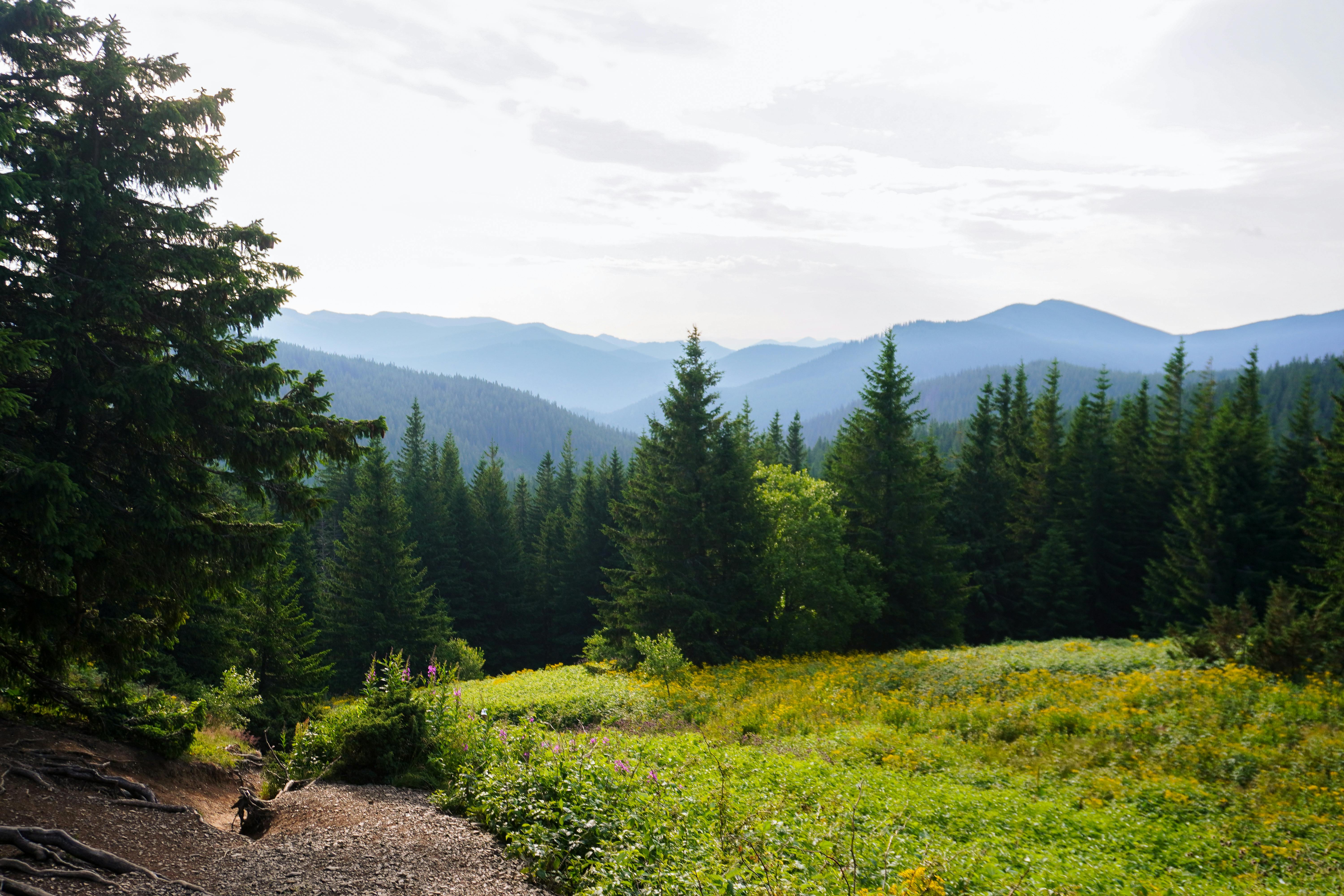 Eco Friendly Packaging Ideas Hitting Warehouse Shelves