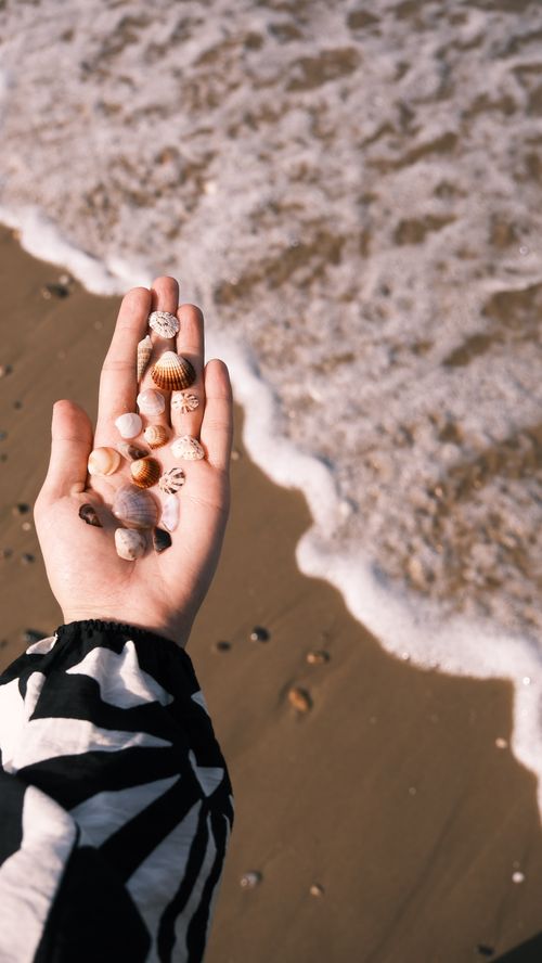 Free A hand holds seashells by the beach, waves gently brushing the shore. Stock Photo