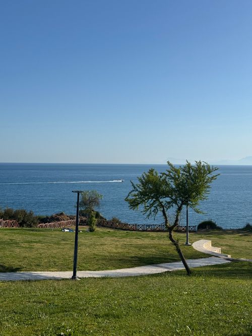 Free Tranquil coastal scene featuring lush greenery, a small tree, and a deep blue sea under a clear sky. Stock Photo