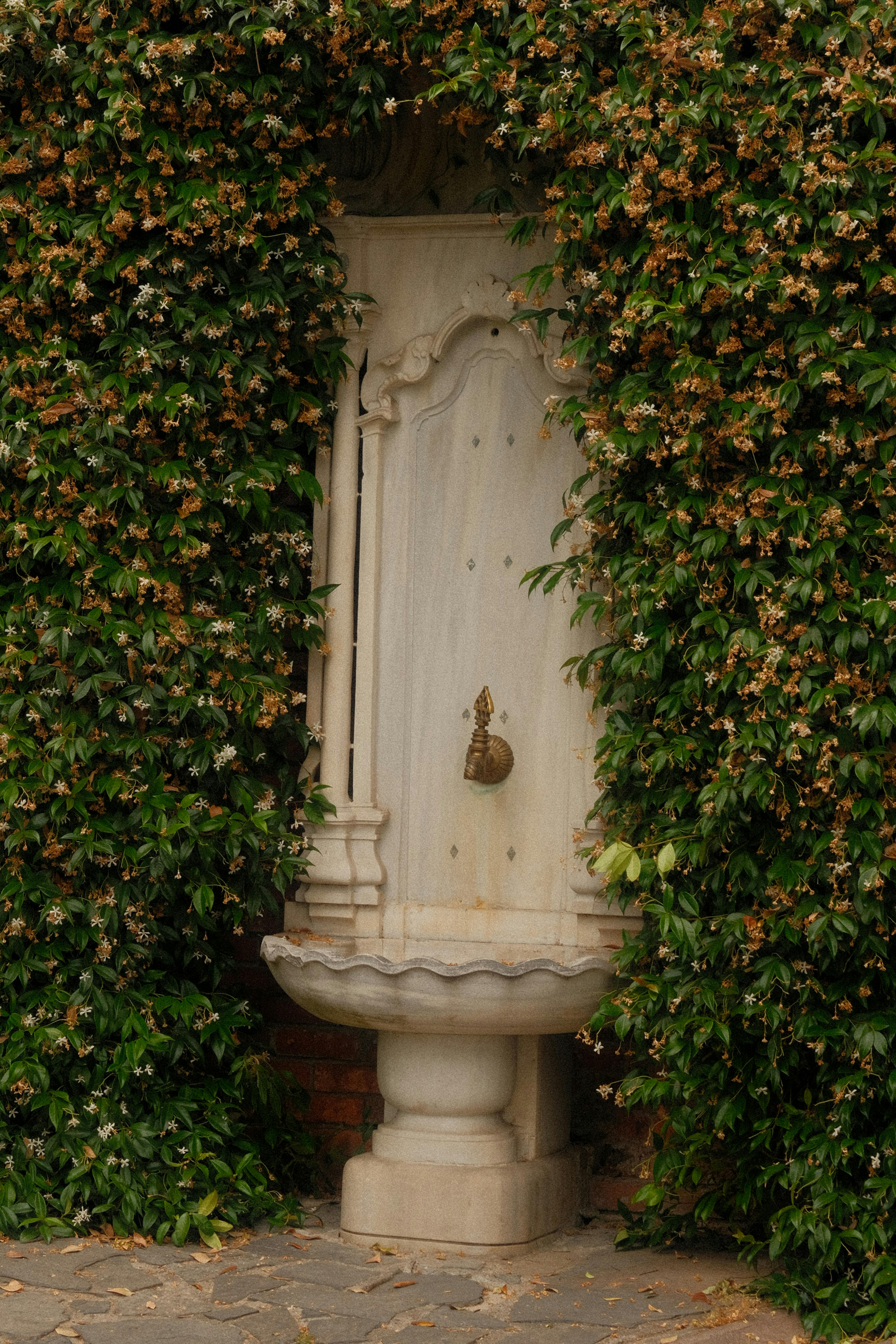 Kostenlos Ein dekorativer Marmorbrunnen, umgeben von üppigen Weinreben und Blumen in Istanbul, Türkei. Stock-Foto