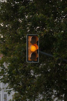 A yellow traffic light against lush green trees on an Istanbul street.