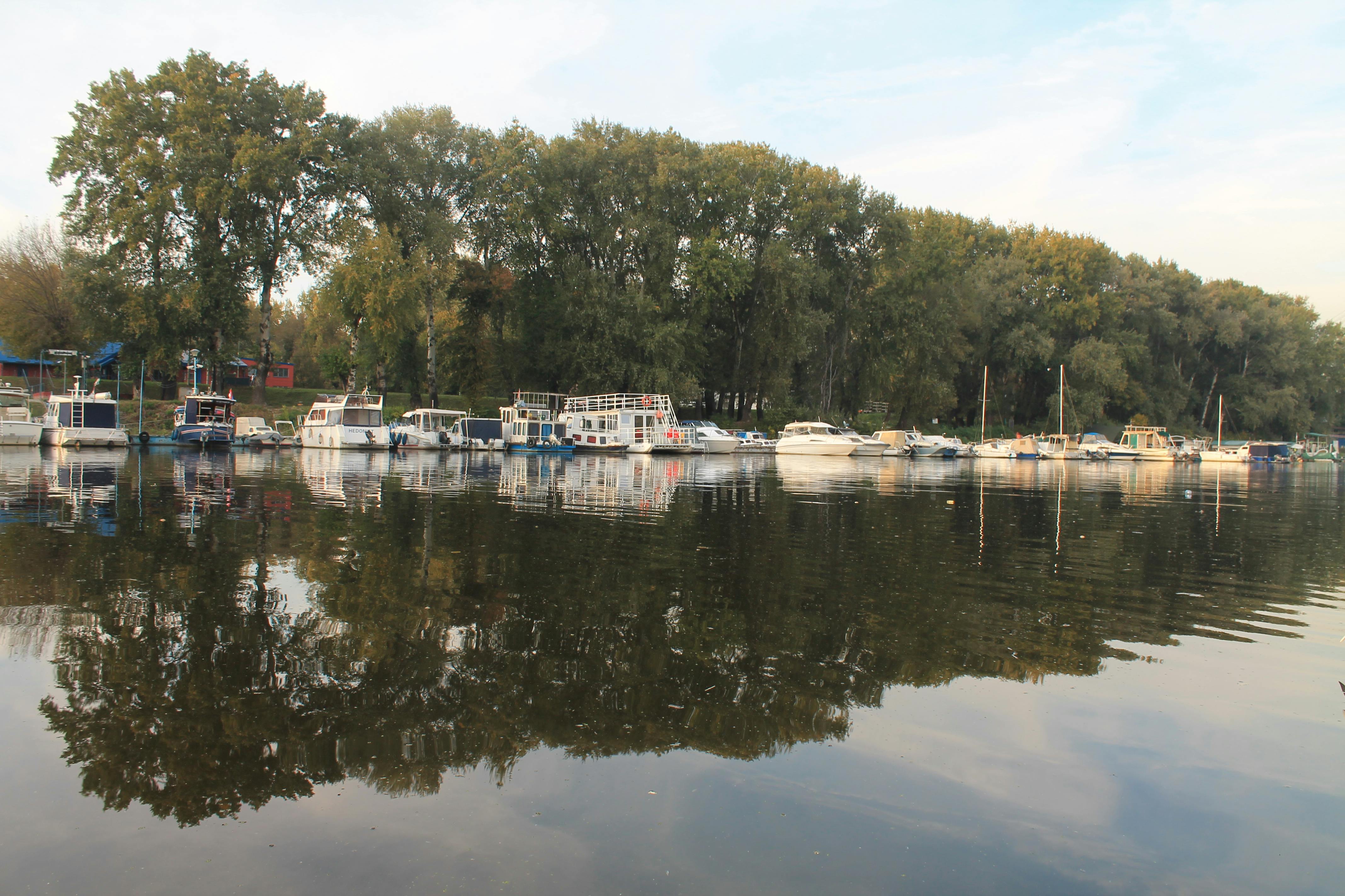 Marina with boats – New Rochelle waterfront, Westchester County NY