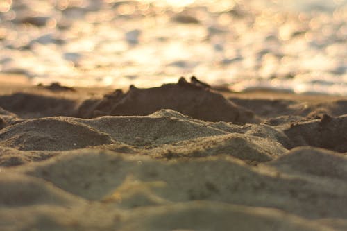 Free stock photo of beach, beach sunset, sand Stock Photo