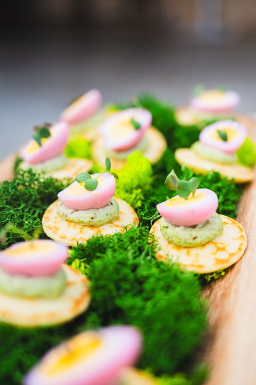 Free Colorful finger foods elegantly displayed on a bed of greens, perfect for culinary presentations. Stock Photo