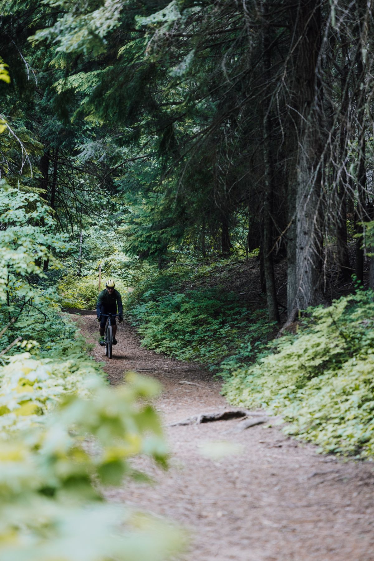 Cyclist riding along a natural trail surrounded by lush green forest