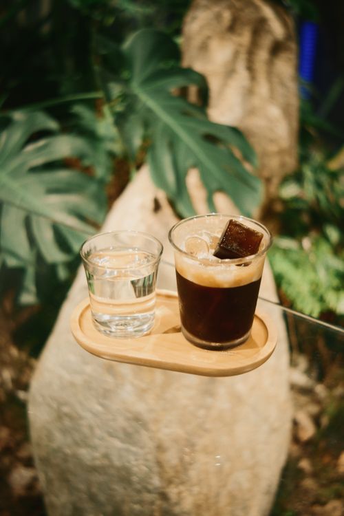 Free Iced coffee served on a wooden tray with tropical plants in the background. Stock Photo