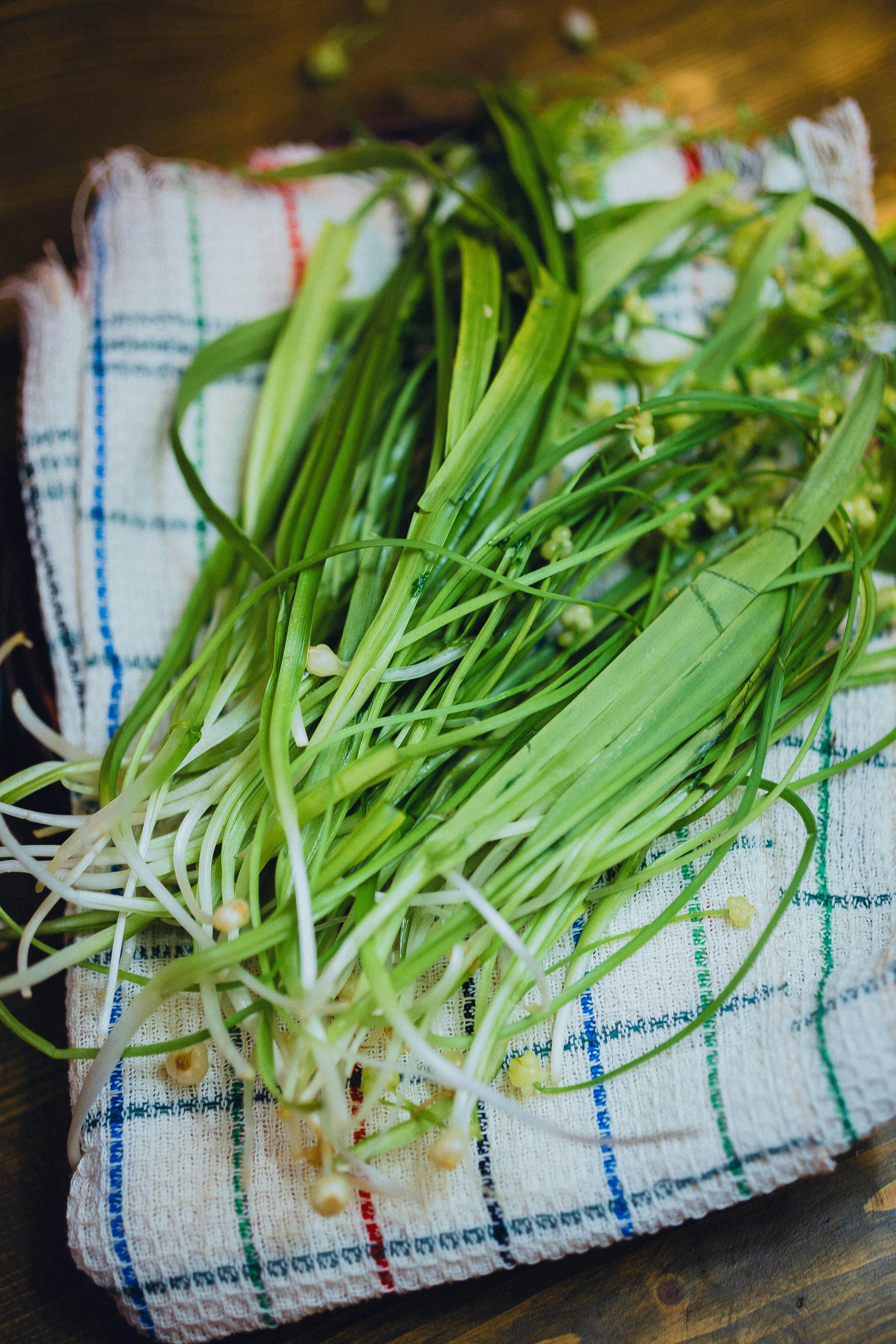 Основные характеристики