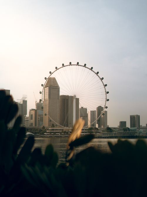 Free Capture of Singapore's skyline featuring the Singapore Flyer and modern skyscrapers. Stock Photo