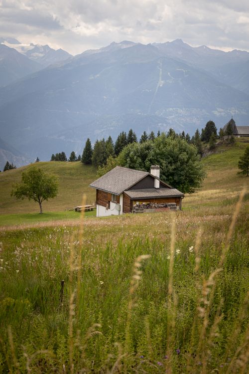 Free Scenic view of a traditional Swiss chalet surrounded by lush fields and mountains in Valais, Switzerland. Stock Photo