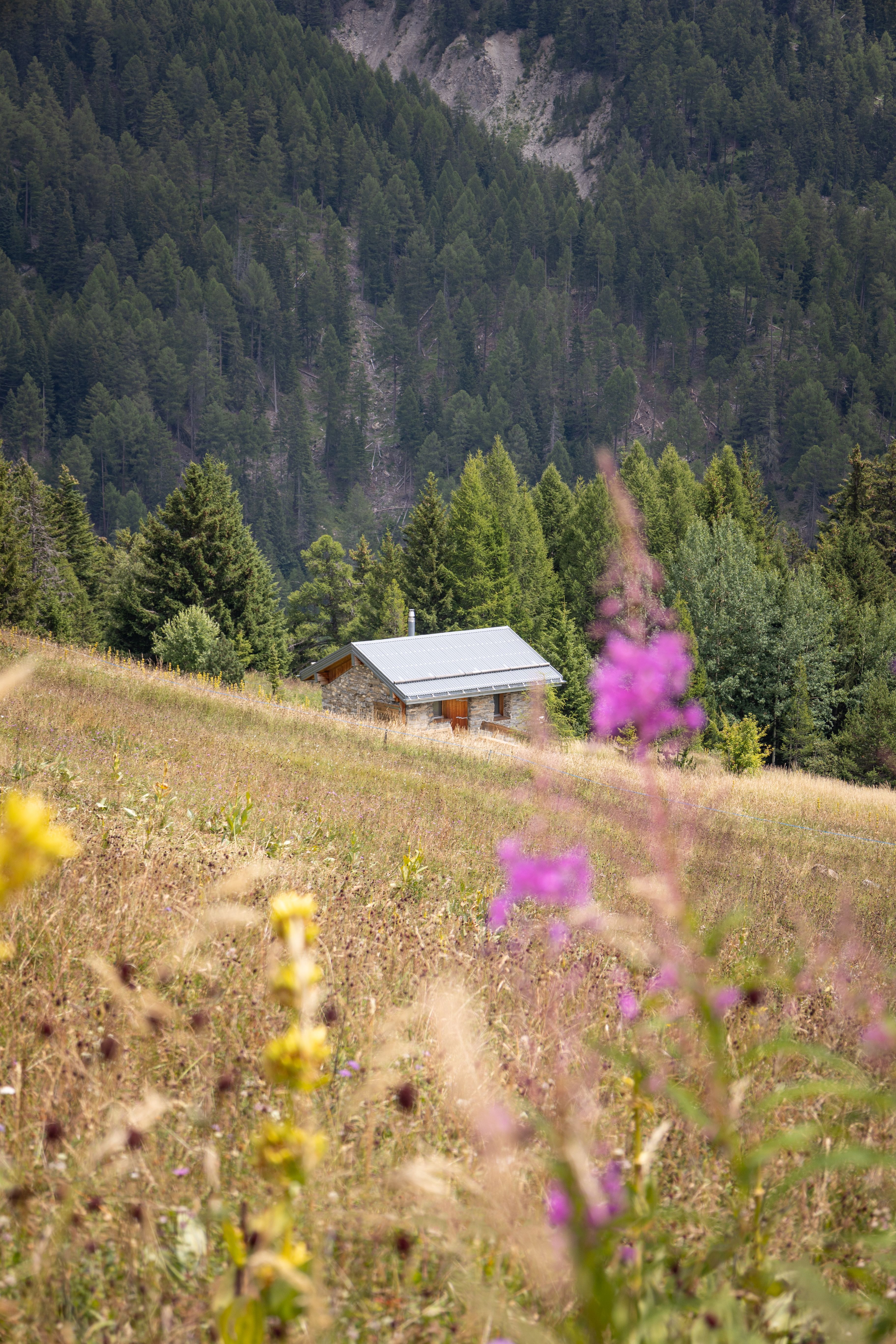 Understanding the Need for Sustainable Tourism