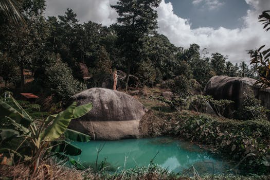 Discover the serene beauty of a lush tropical lagoon on Koh Samui, Thailand.