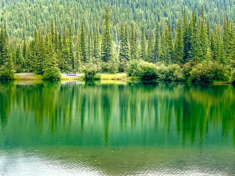 Air jernih Danau Paisupok memantulkan hutan seperti cermin di Luwuk Banggai