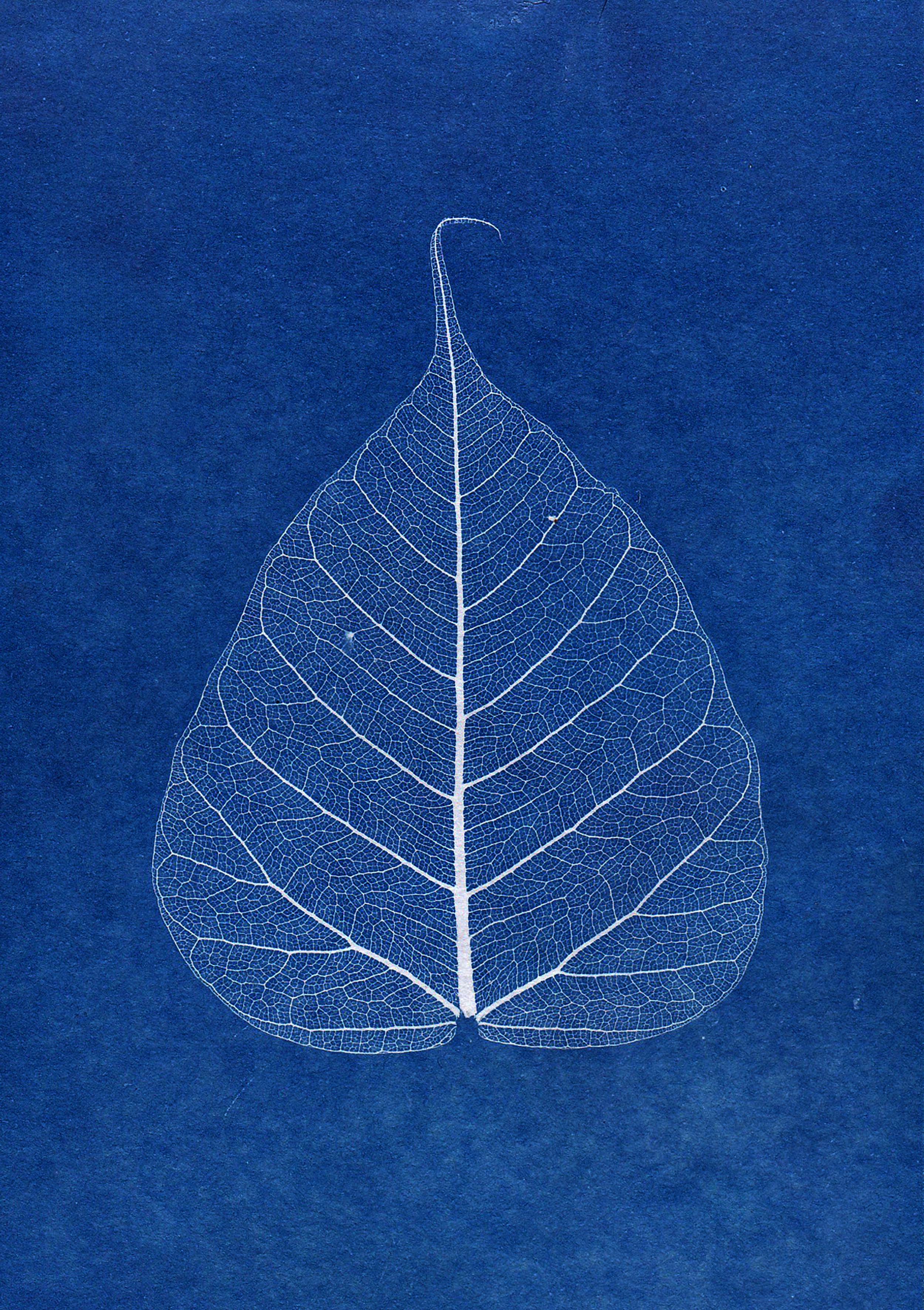 Beautiful+Naked+Women+With;+Pubic+Hair Photos, Download The BEST Free Beautiful+Naked+Women+With