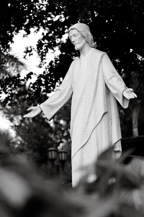 Free Elegant monochrome statue surrounded by foliage, captured outdoors in South Miami. Stock Photo