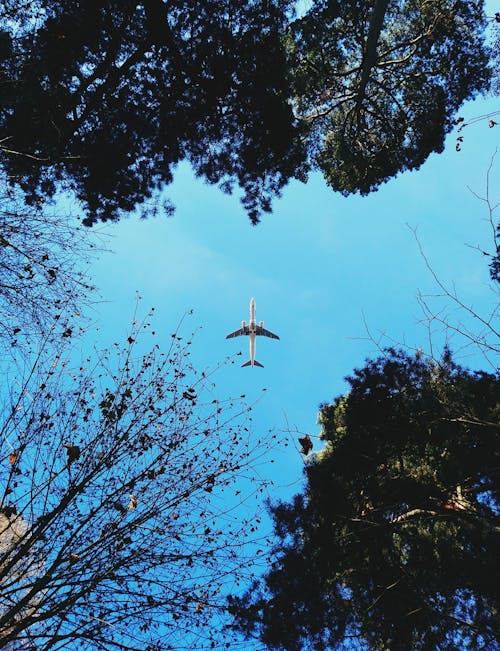 Низкоугловая фотография самолета в небе