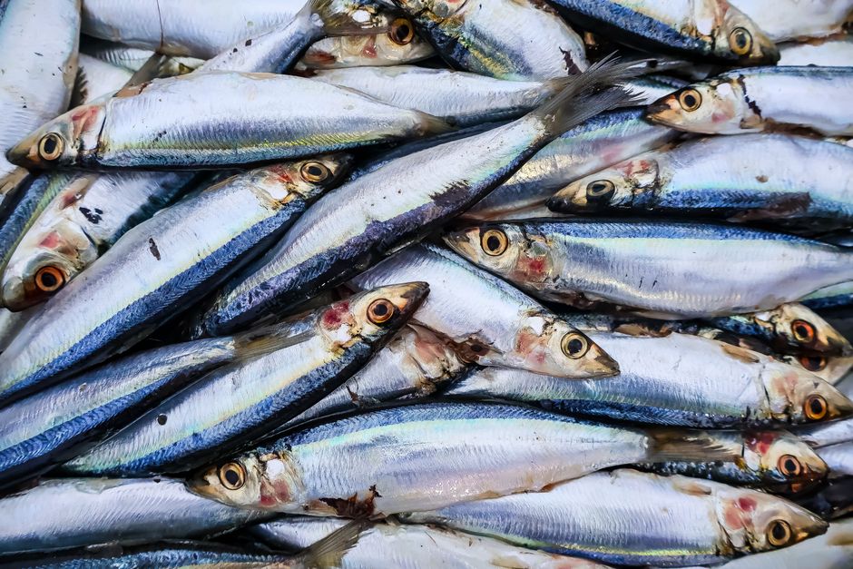 Exploring Maxxing: Should You Try This Nutrition Trend?