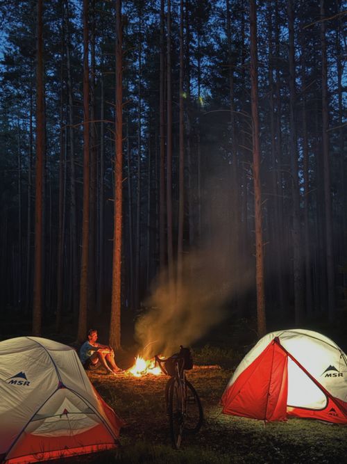 Free Peaceful camping experience in a forest with tents and campfire under the night sky. Stock Photo
