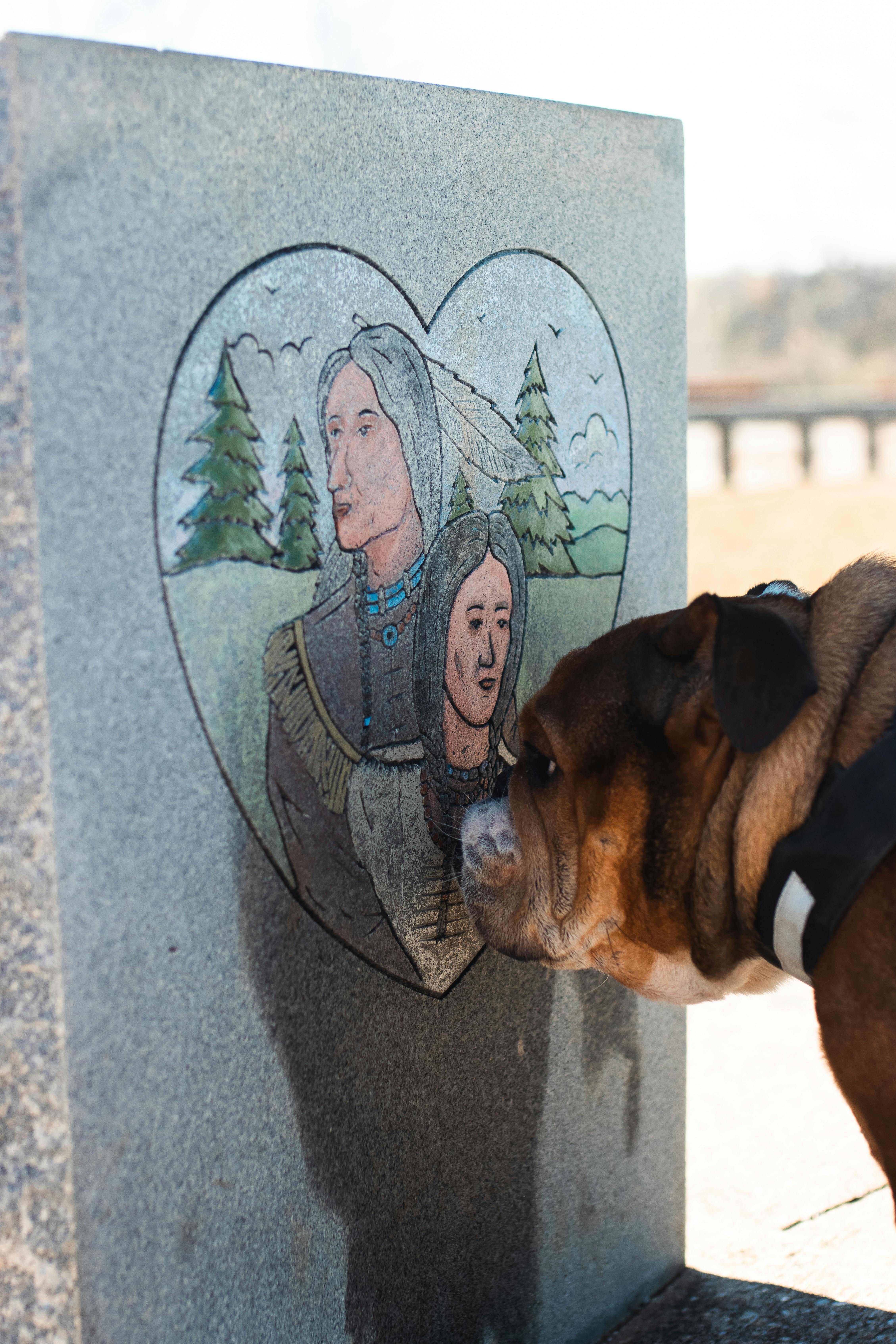 Why Do Dogs Have Wet Noses? Discover The Fascinating Truth! 7 Curious Canine Facts: Why Does Your Dog’s Nose Change Throughout the Day?