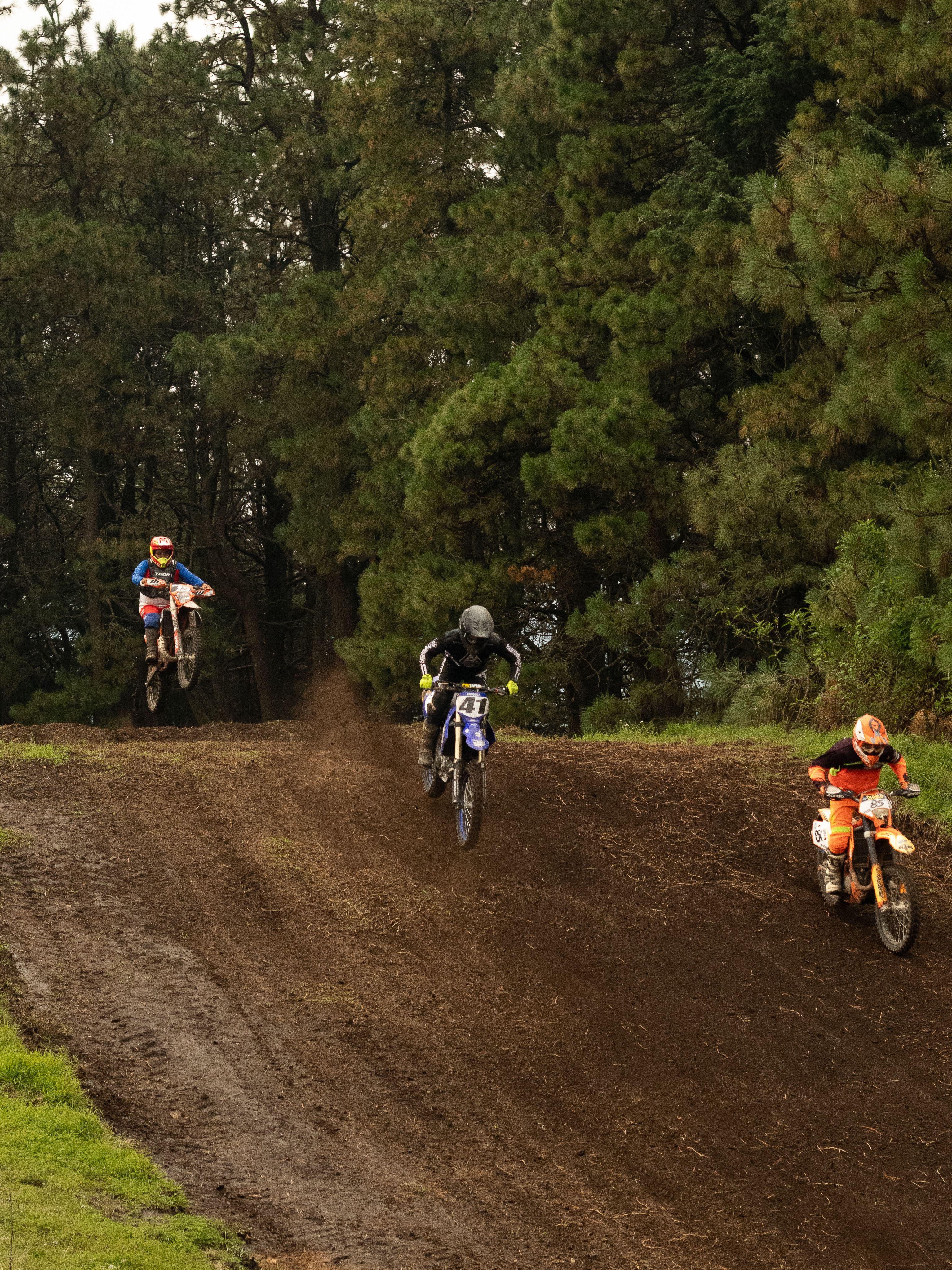 Exciting Off-Road Motorcycle Race in Forest Setting · Free Stock Photo