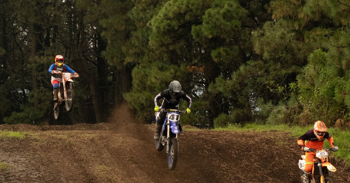 Forrest Rase Exciting Off-Road Motorcycle Race in Forest Setting · Free Stock Photo