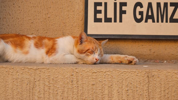 창작자의 의무: 콘텐츠 성공법칙 – 컨텐츠 크리에이션의 핵심 원칙