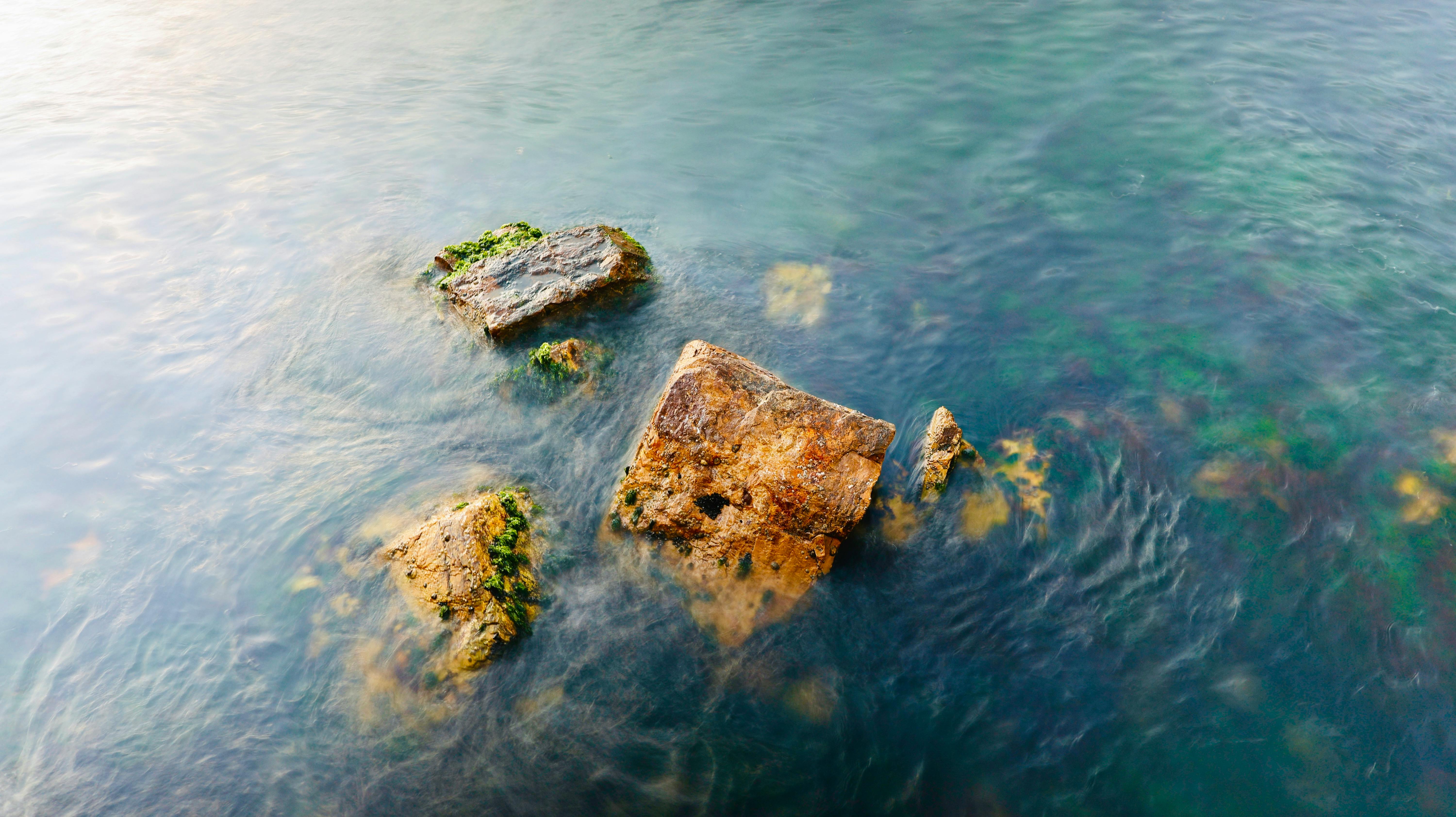 Comment se déroule une séance chez le naturopathe ?