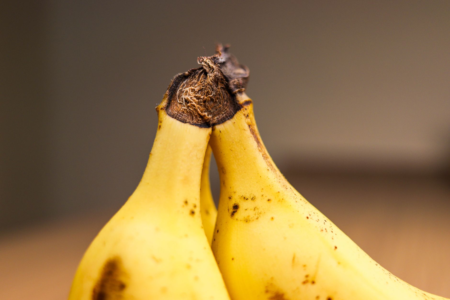 Best Banana Holders 2026: Keep Bananas Fresher Longer