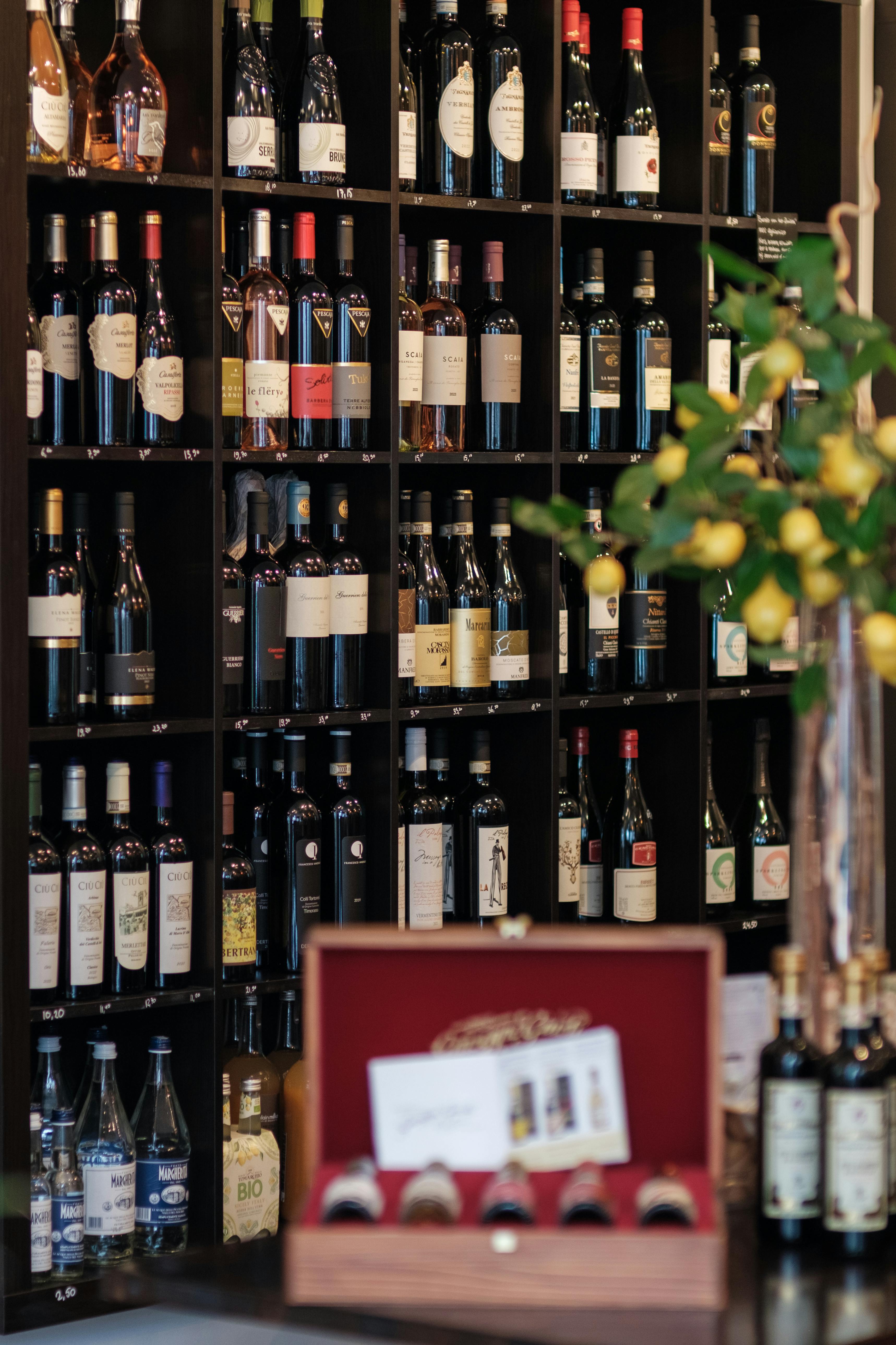 Dijital İçerik ve Marka