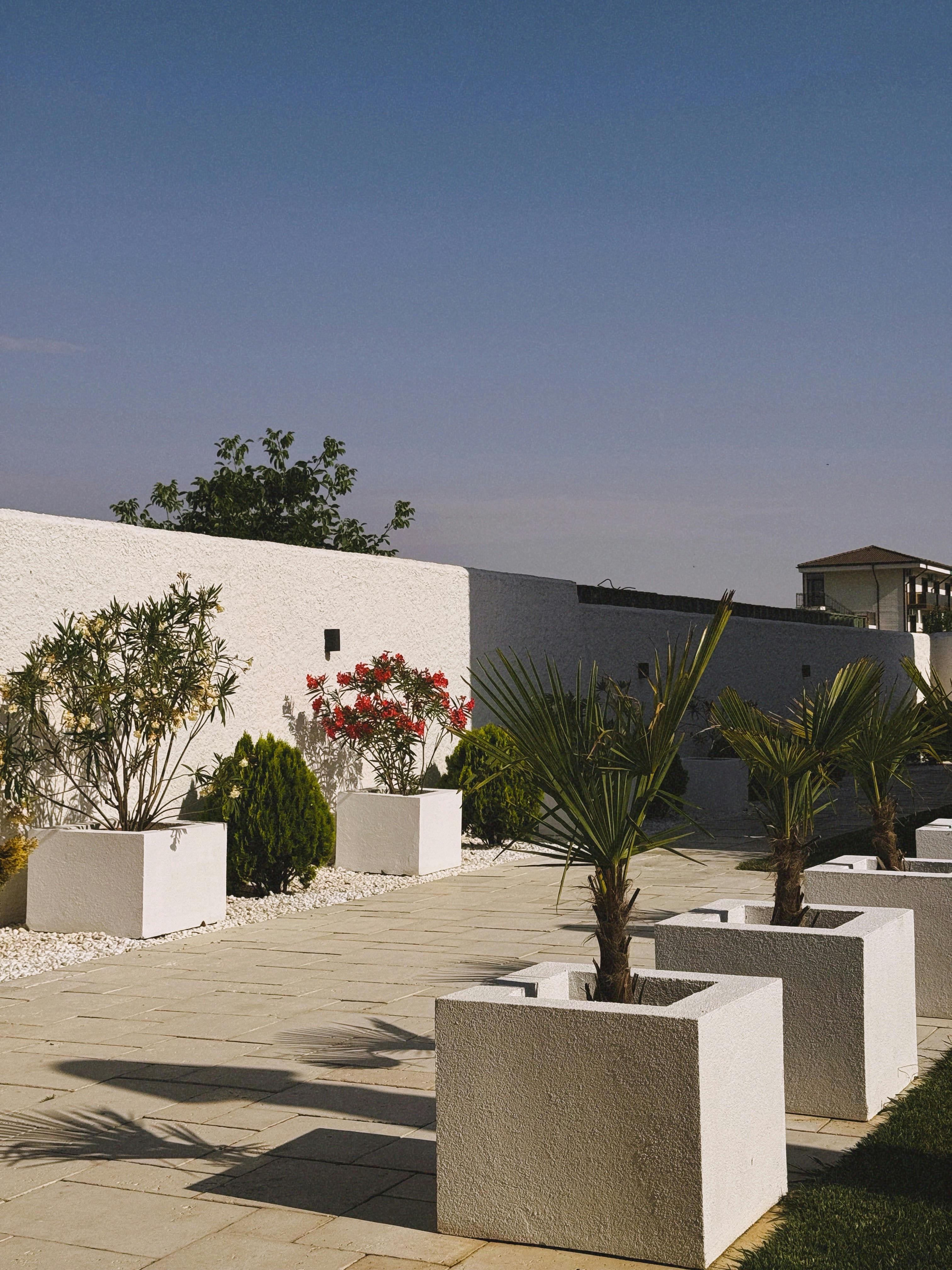 Terrasse contemporaine et végétalisation à Annecy