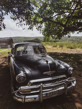 A 1950s vintage car parked under a tree in the Cuban countryside, showcasing Cuba's classic car culture.