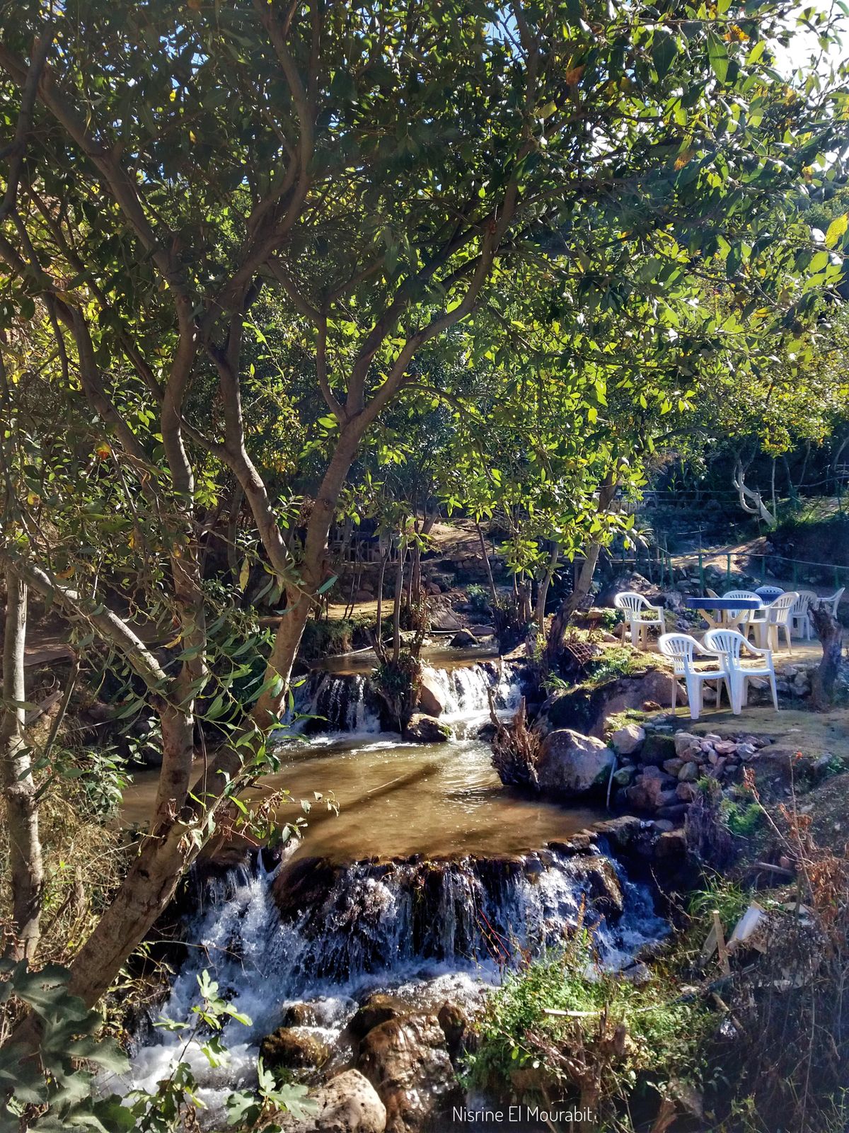 Mount Namuli: Mozambique's Biodiversity Sky Island