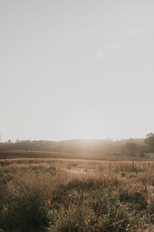Free Serene landscape of fields at sunrise with soft sunlight casting a peaceful glow. Stock Photo