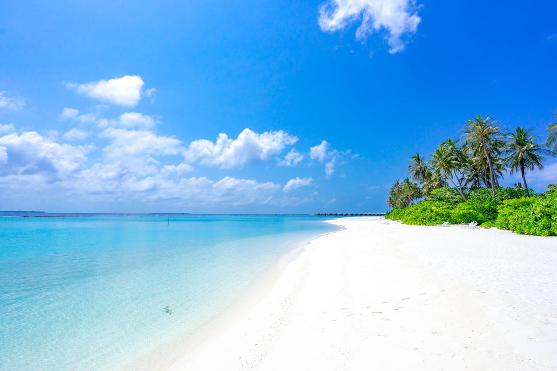 Photo Of Beach During Daytime