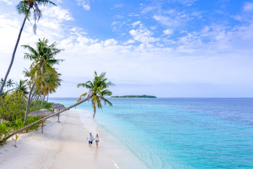 Free Bird's Eye View Of Beach During Daytime Stock Photo