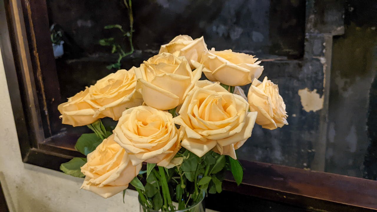 Tại sao nên quản lý spa bằng phần mềm?