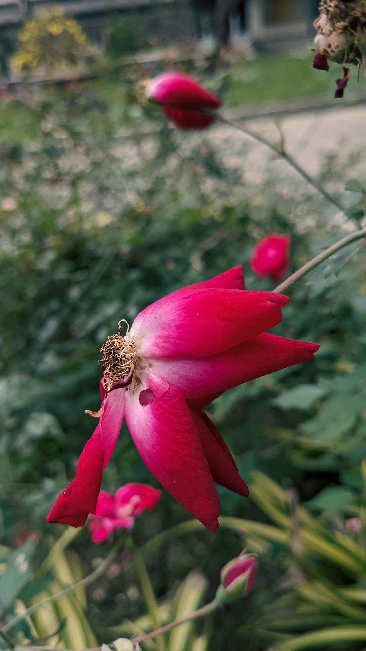 2 kiểu trò đùa mà ai cũng kể