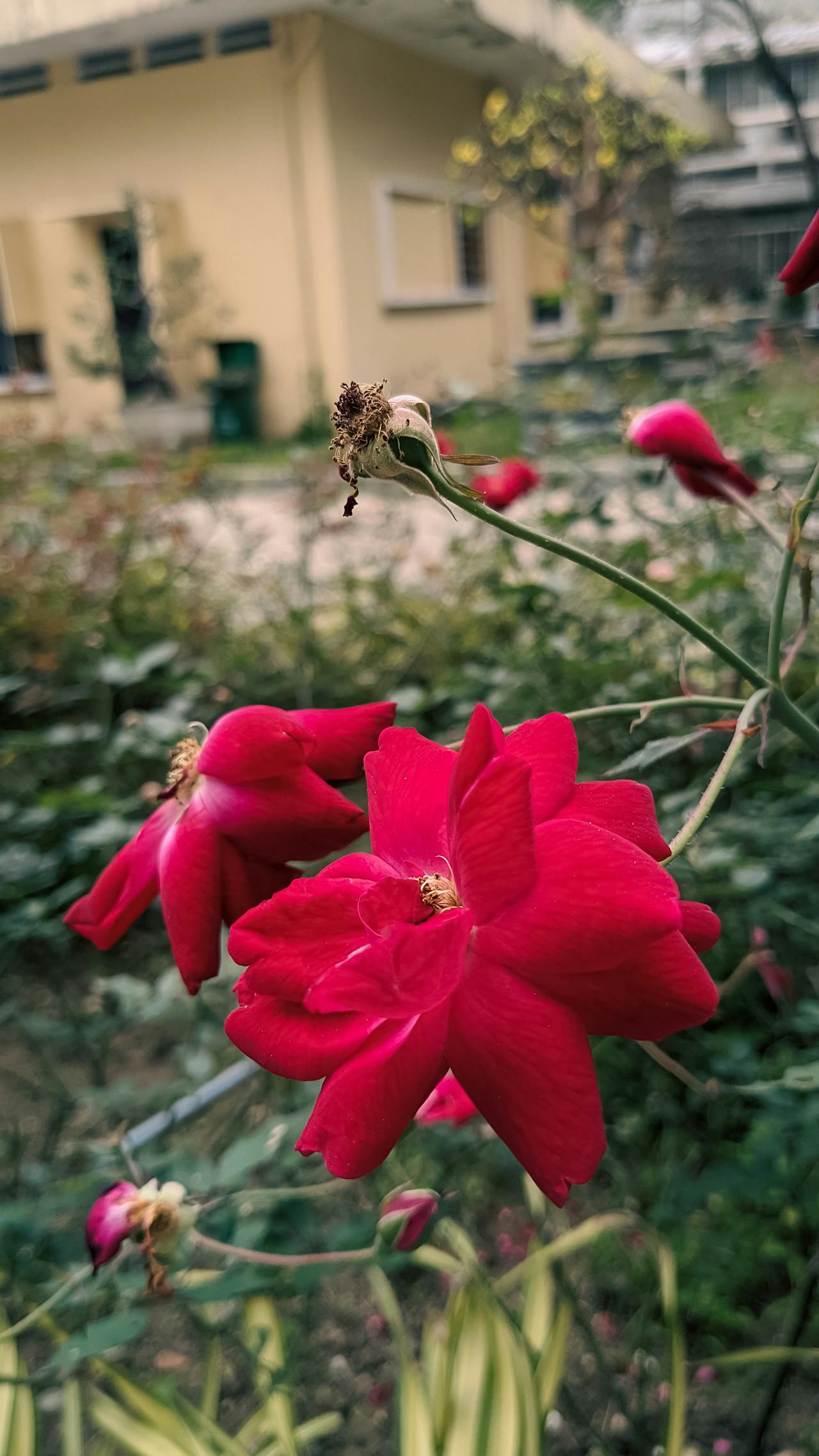 Con đã có đường đi | Chương 18