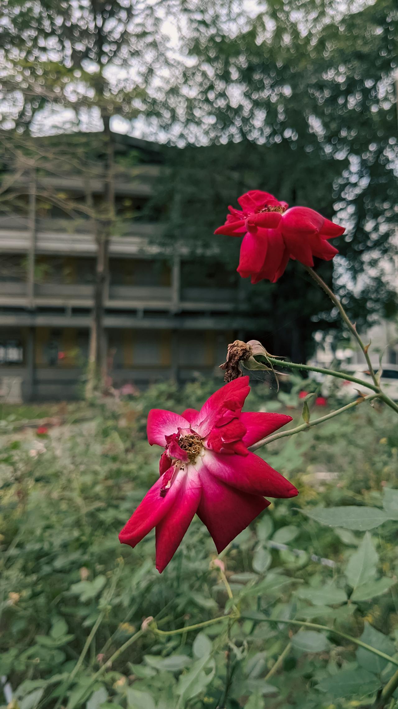 Sợ hãi | Chương 06