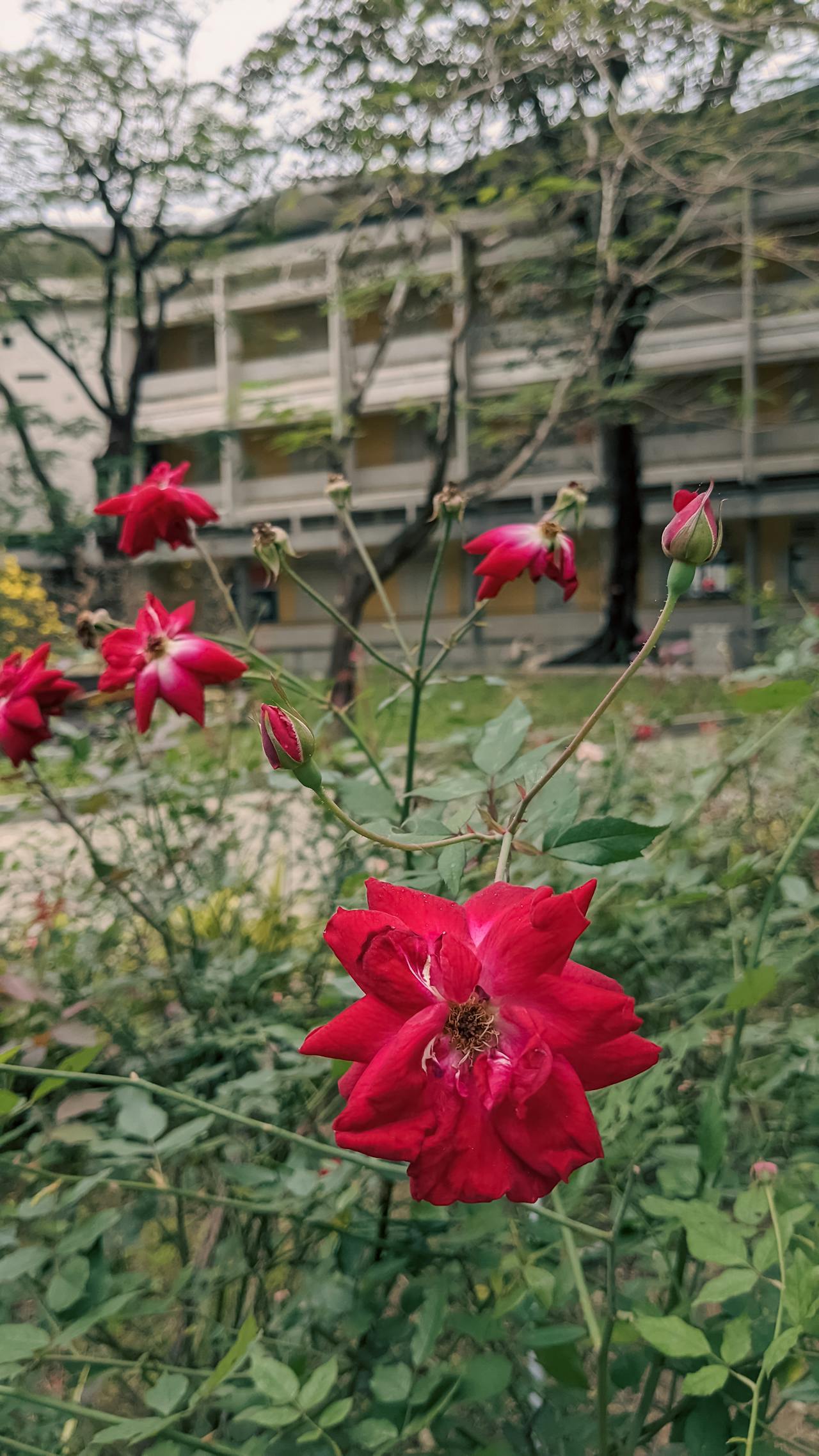 Giếng thở than | Chương 09