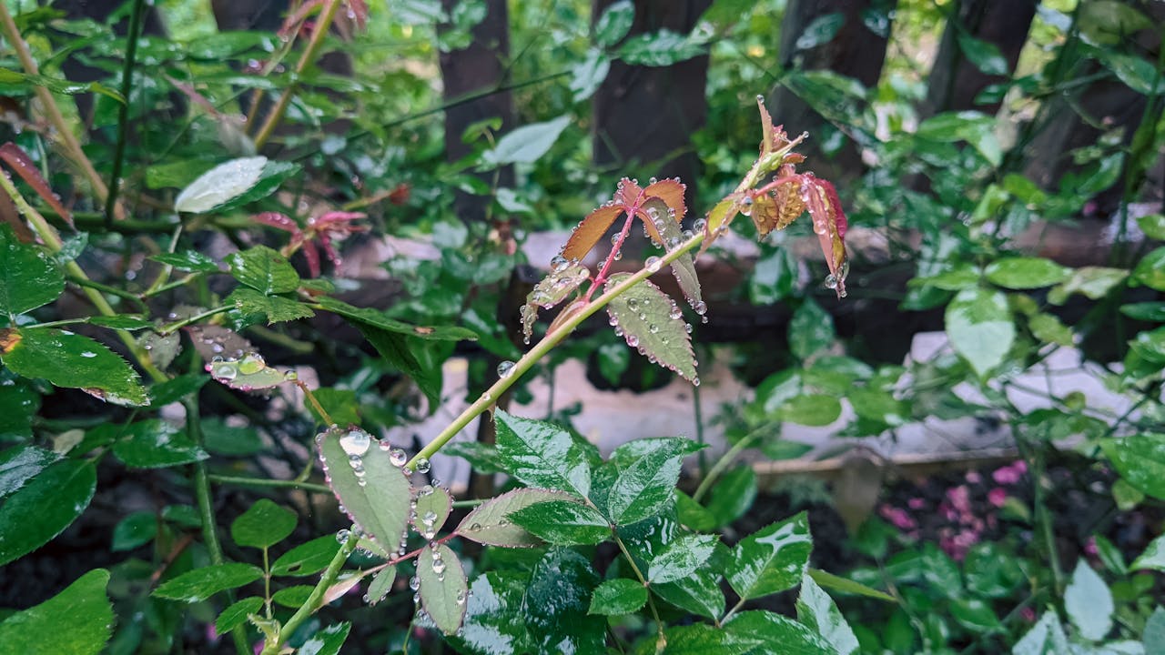 Tại sao người Aztec không xâm lược châu Âu?