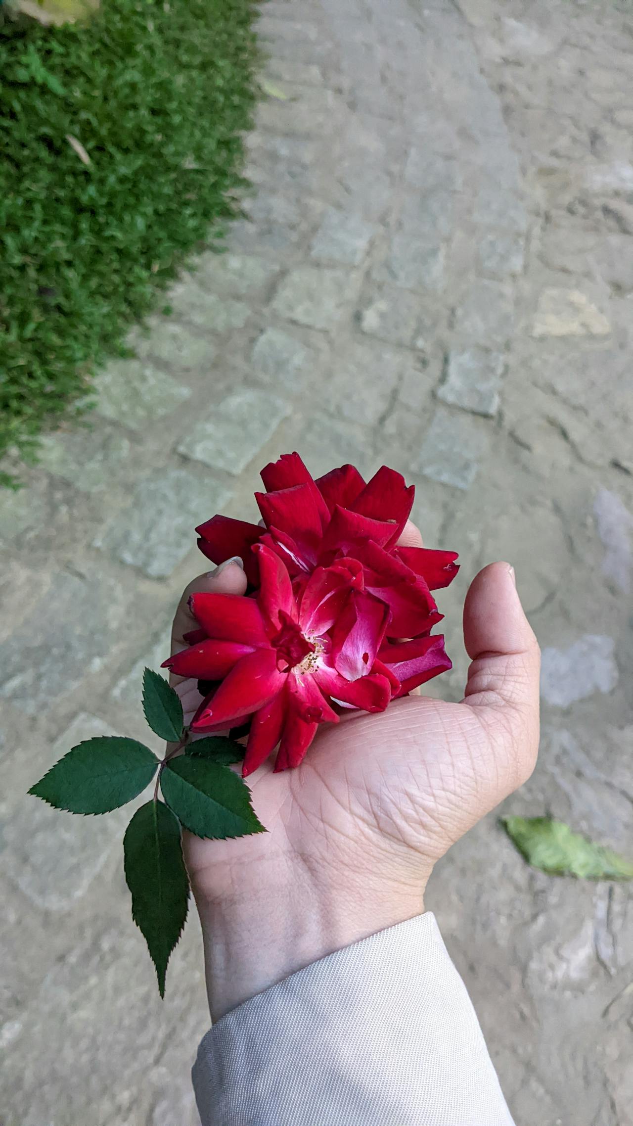 Nghịch lý Solomon giúp đưa ra lời khuyên tốt