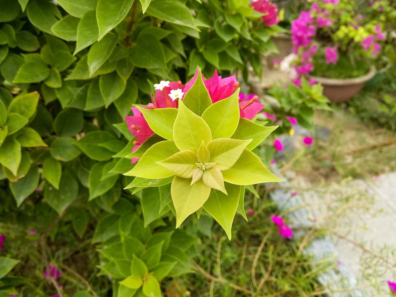 Viết bài văn nghị luận về vấn đề học sinh lười đọc sách