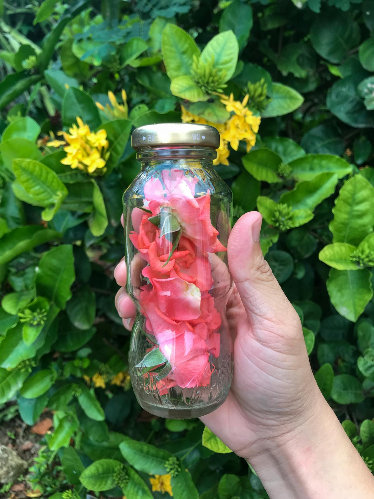 Trồng một nụ cười | Chương 11