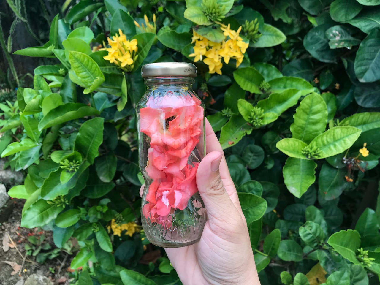 3 phản ứng với nỗi đau trong triết học