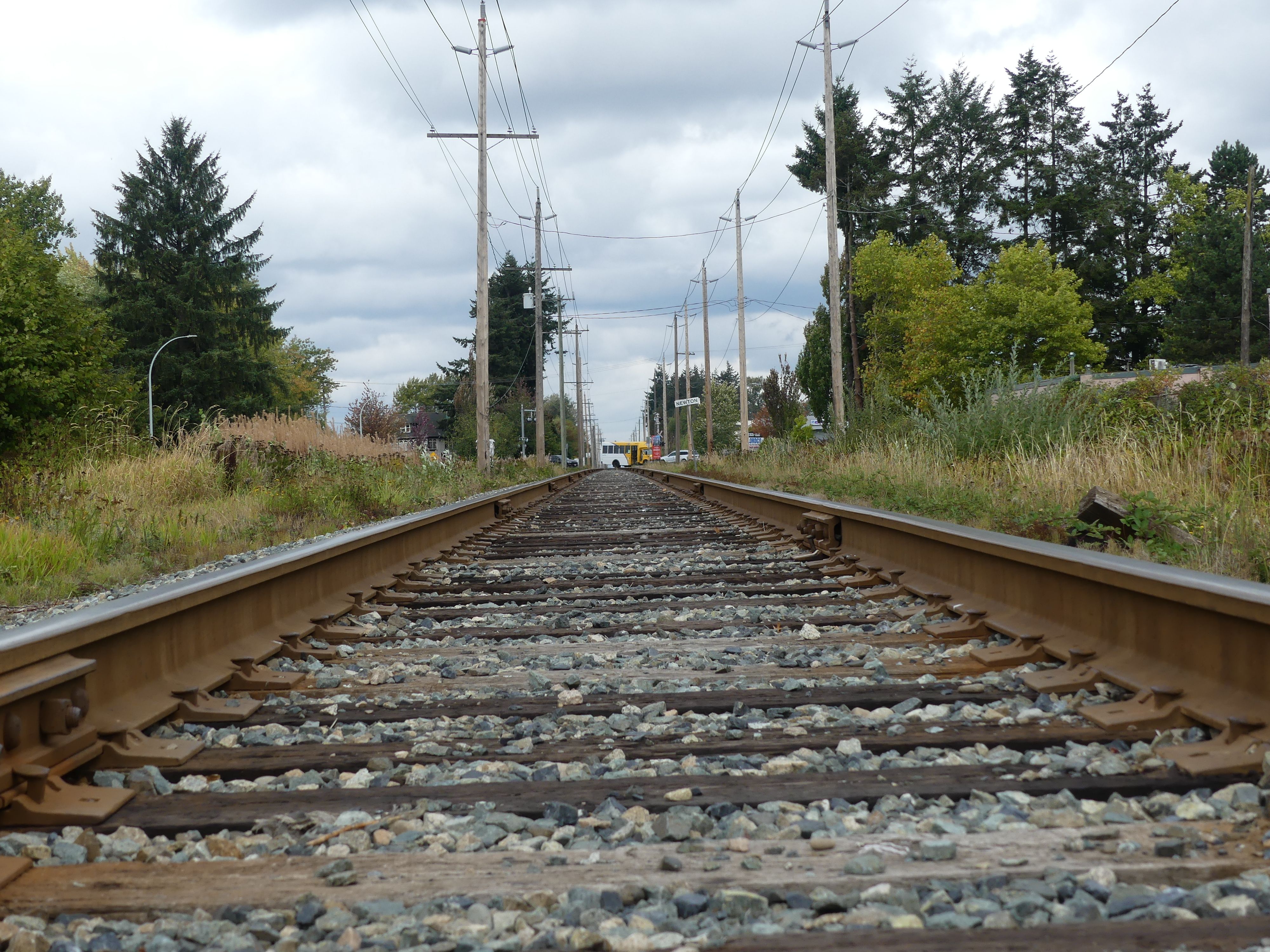 Desolate railroad tracks flanked by greenery with a cloudy sky.