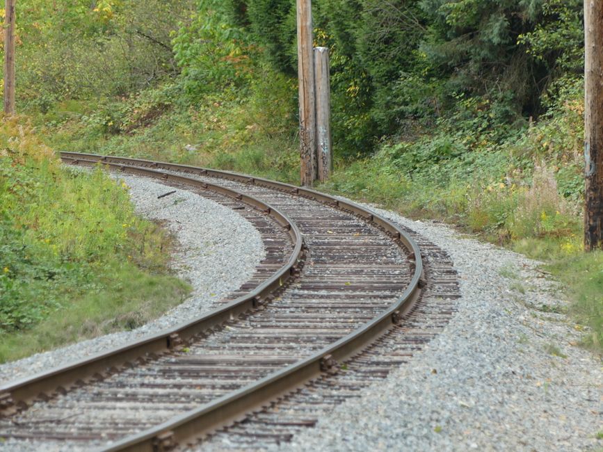 A curved railway track surrounded by greenery during the day, capturing a natural and serene outdoor setting.